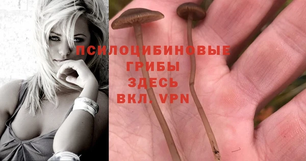 амф Абинск