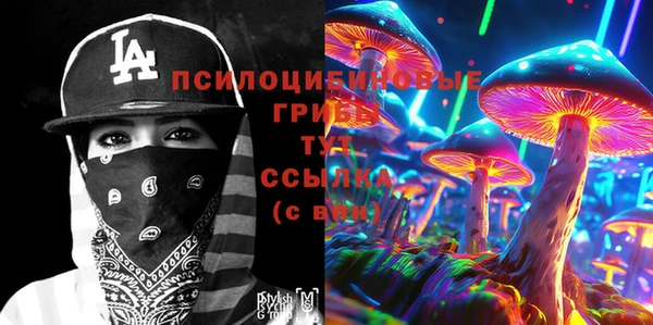 амф Абинск