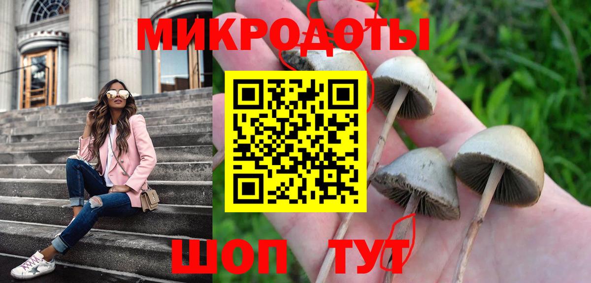 Галлюциногенные грибы прущие грибы  Вход с VPN  Астрахань 