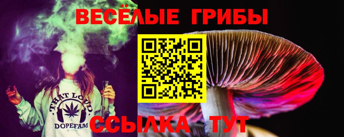 Галлюциногенные грибы MAGIC MUSHROOMS Астрахань